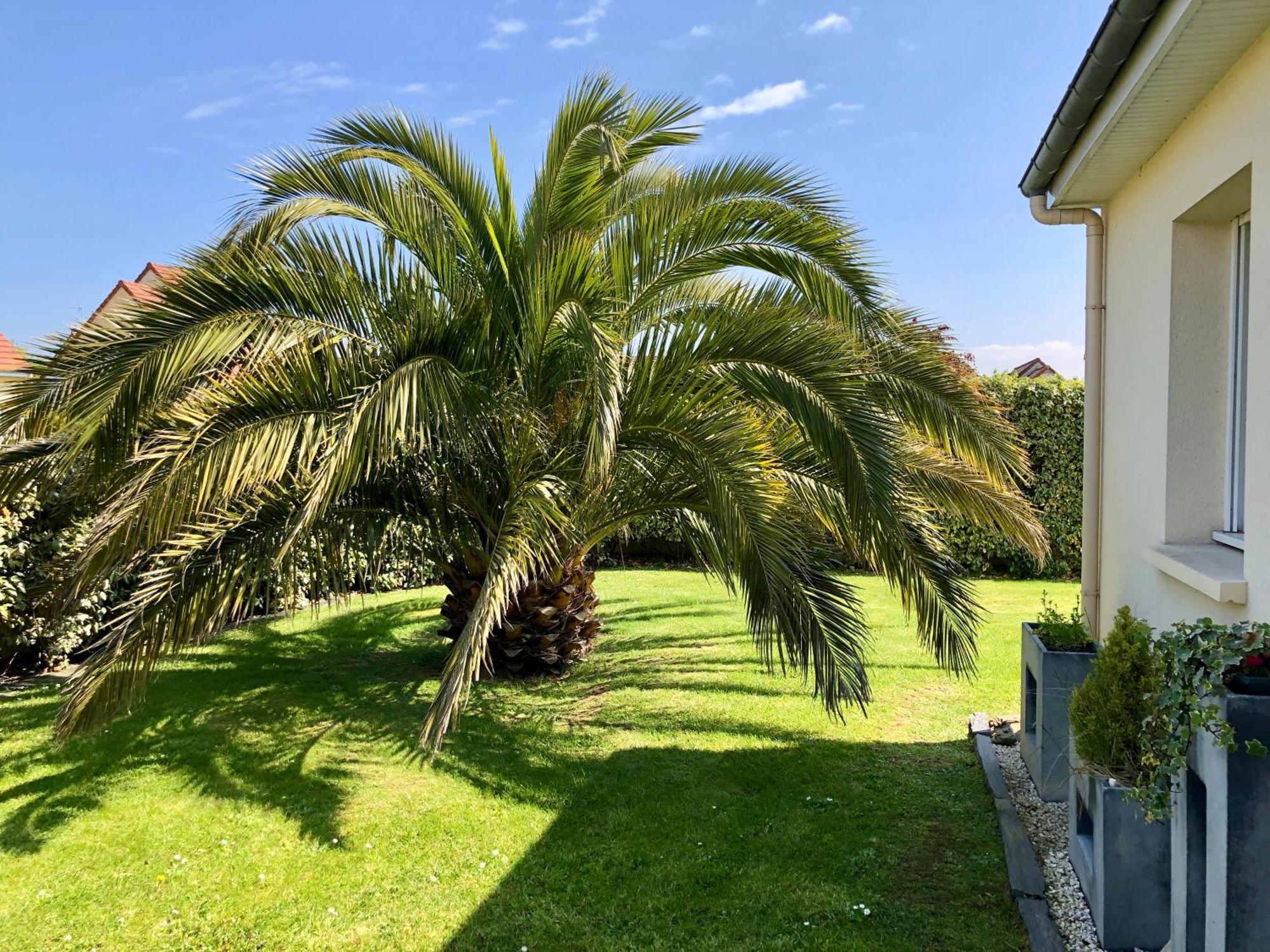Les Palmiers gite 7 personnes plages du débarquement Grandcamp-Maisy Extérieur photo