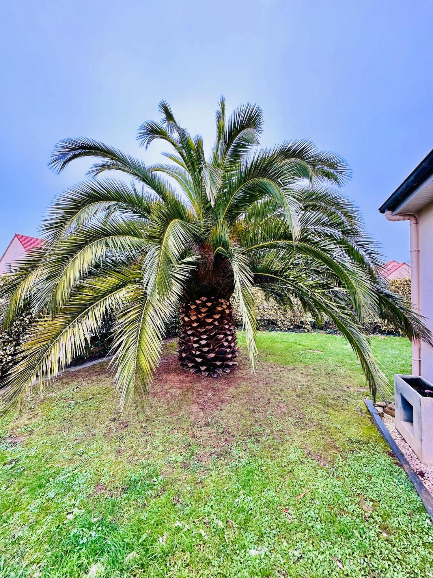 Les Palmiers gite 7 personnes plages du débarquement Grandcamp-Maisy Extérieur photo