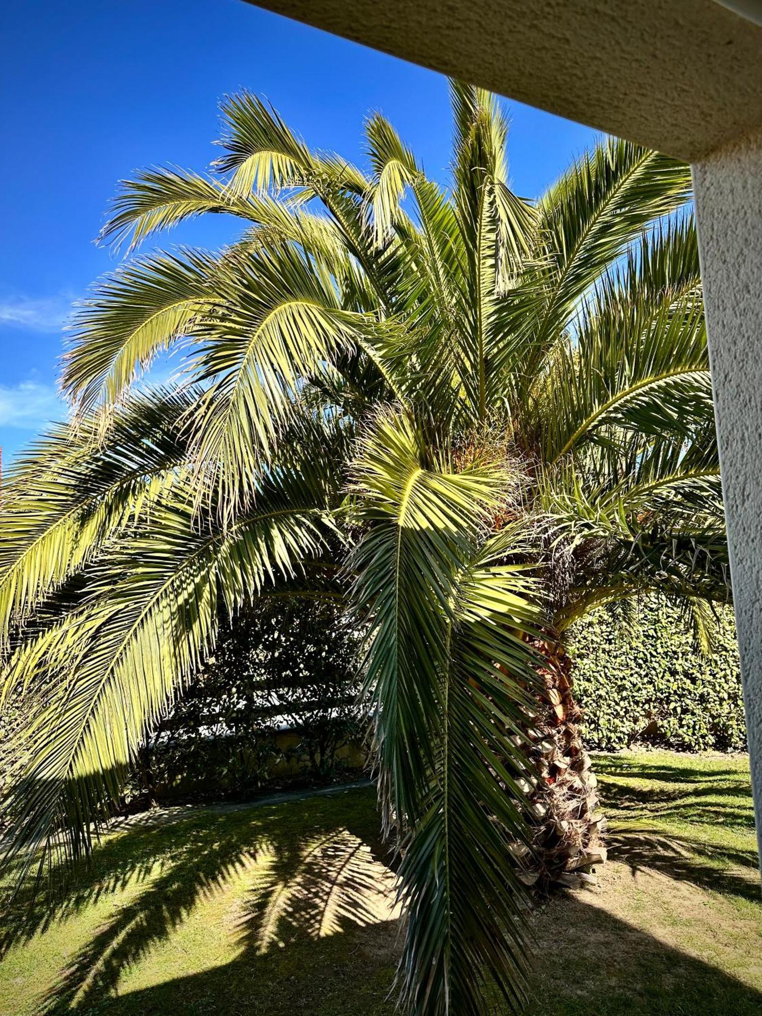 Les Palmiers gite 7 personnes plages du débarquement Grandcamp-Maisy Extérieur photo